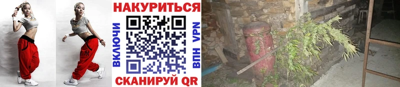 Псилоцибиновые грибы Осташков
