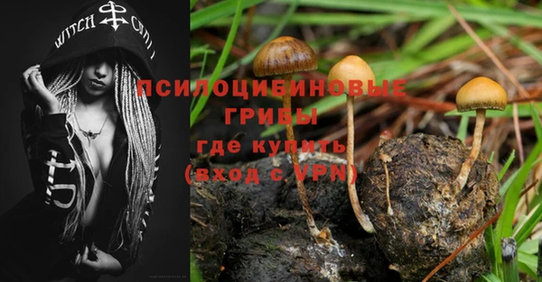 дживик Аркадак