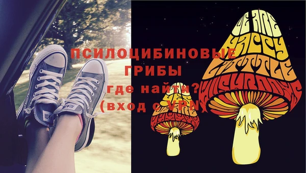 дживик Аркадак